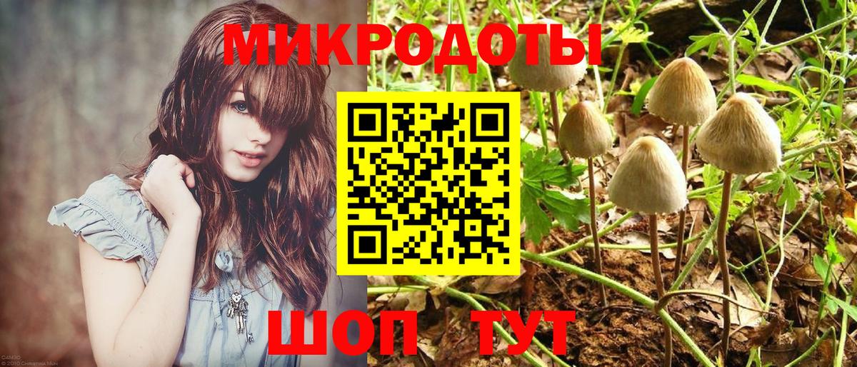 Галлюциногенные грибы Magic Shrooms Шарыпово
